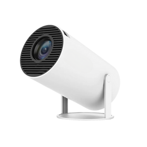 Projektor